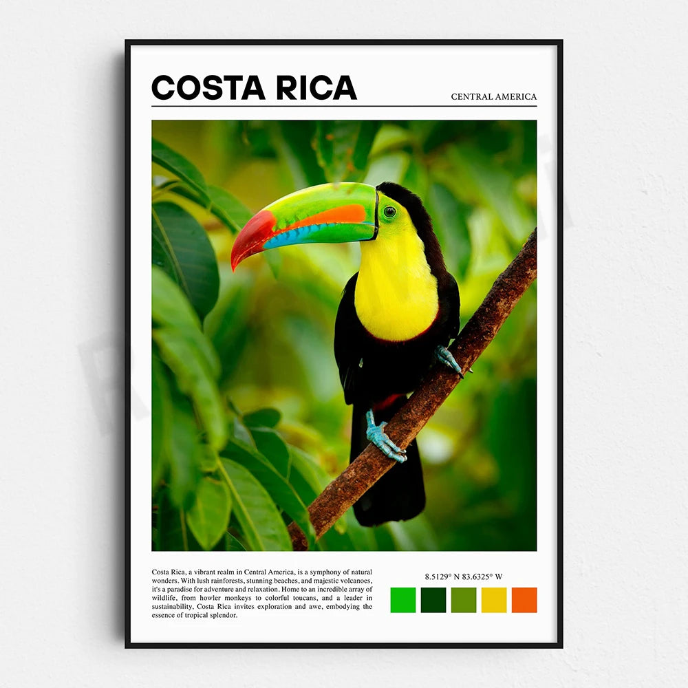 Un oiseau coloré et exotique perché sur une branche dans un environnement tropical verdoyant, représentant la beauté naturelle et la diversité de la Costa Rica.