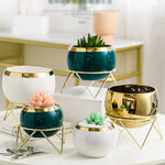 Cache-pot doré céramique design nordique avec plante succulente