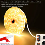 Bande LED flexible 220V pour jardin terrasse