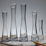 Vase en verre transparent utilisé comme terrarium avec mousses et petites plantes