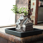 Pot de fleur bordeaux pour bonsaï en décoration salon