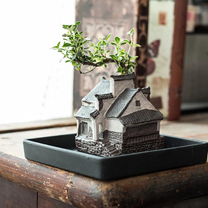 Pot de fleur bordeaux pour bonsaï en décoration salon