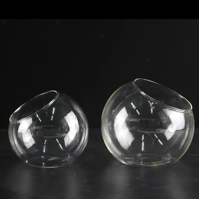 Terrarium sphérique en verre transparent utilisé comme vase