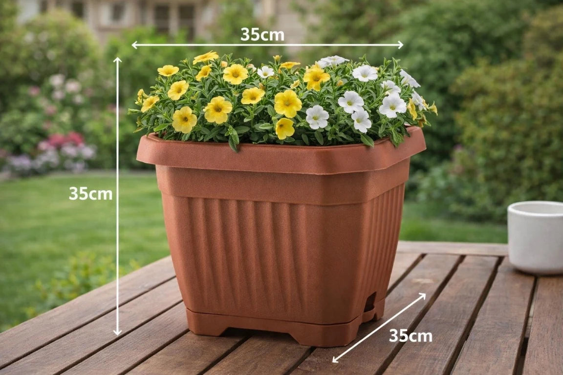 Cache-pot octogonal terracotta 35 cm avec plante