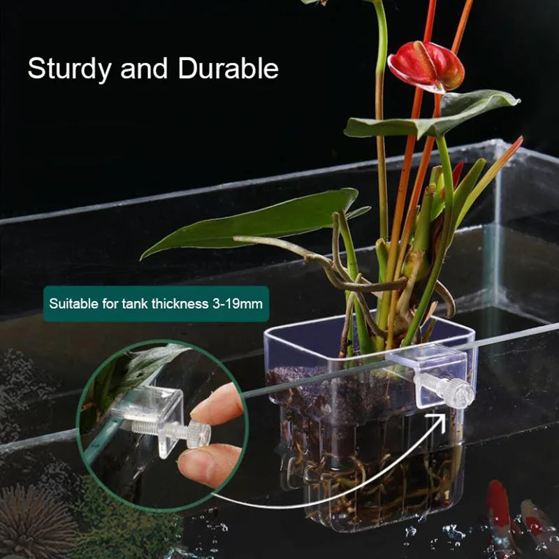 Panier hydroponique transparent pour plantes d'aquarium