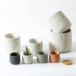 Pot de fleurs ciment blanc pour succulente intérieur