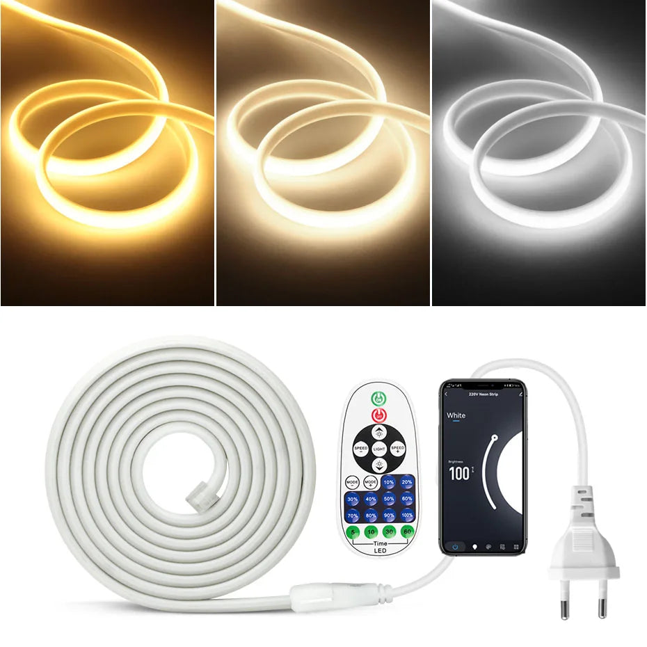 Ruban LED COB 20 mètres étanche WiFi Bluetooth