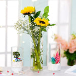 Bougeoir en verre pour bougies piliers