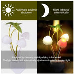Lampe champignon LED 7 couleurs