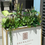 Fausse plante bonsaï bambou vue de côté