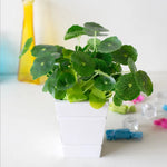 Plante artificielle Lotus sur une table de bureau zen
