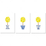 Trois paniers bleus et blancs abritent des fleurs jaunes épanouies.