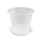 Pot transparent orchidée montrant les stomates d'aération