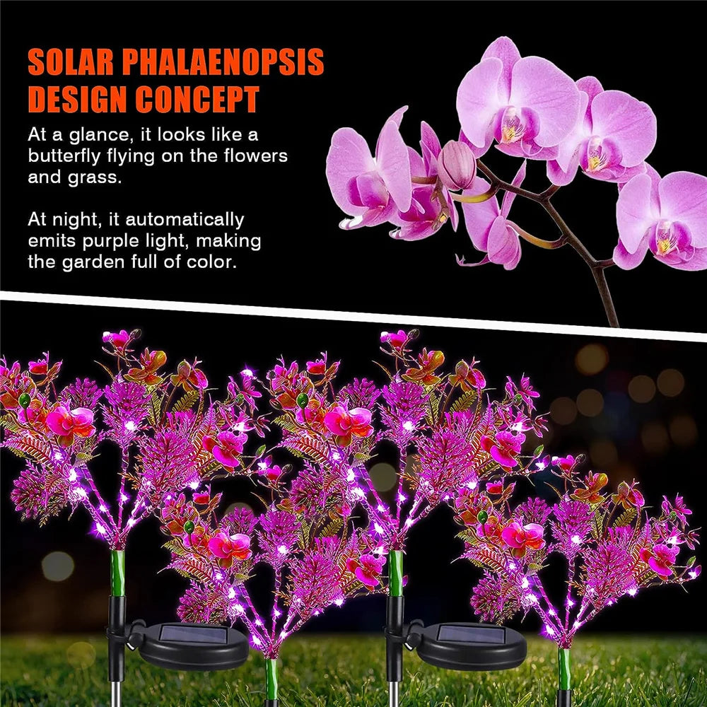 Lampe solaire Phalaenopsis vue de profil