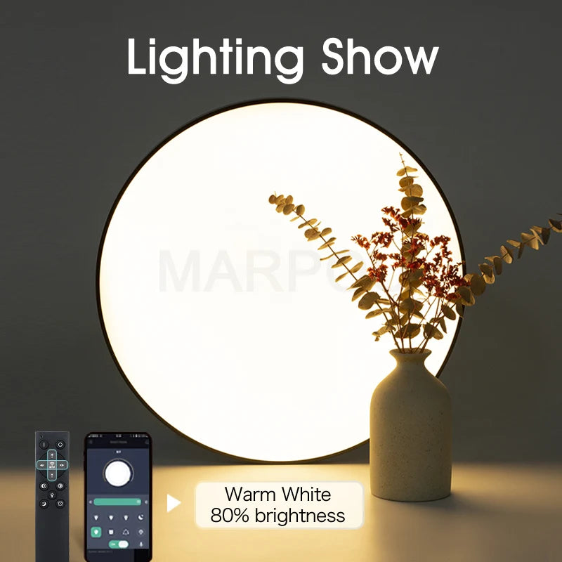 Plafonnier LED design moderne noir pour chambre