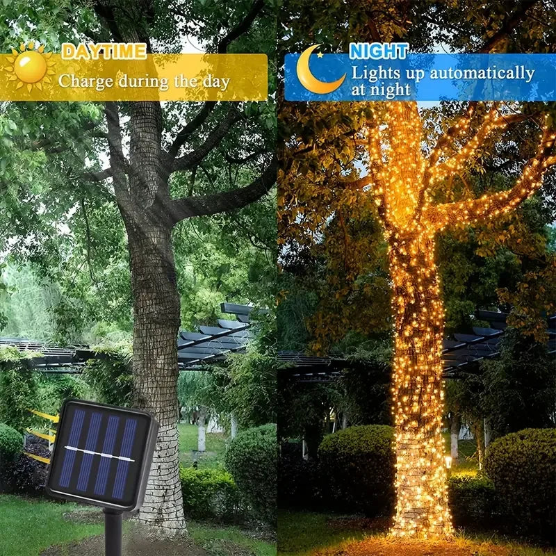Détail des ampoules LED de la guirlande solaire