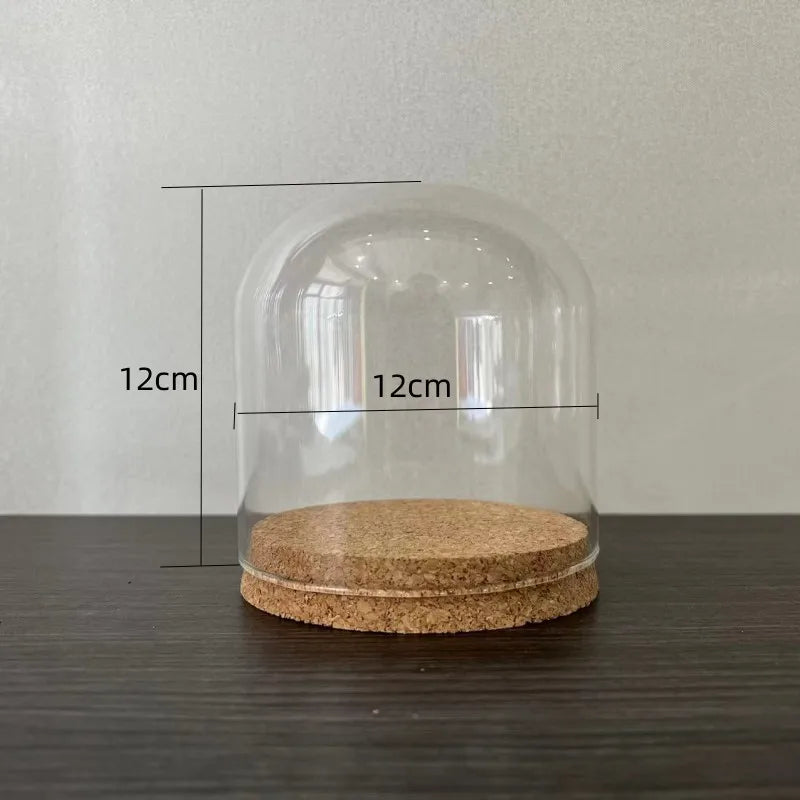 Terrarium en verre transparent avec base en liège, vue de face