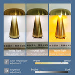 Comparaison des trois couleurs de lumière (blanche, naturelle, chaude)