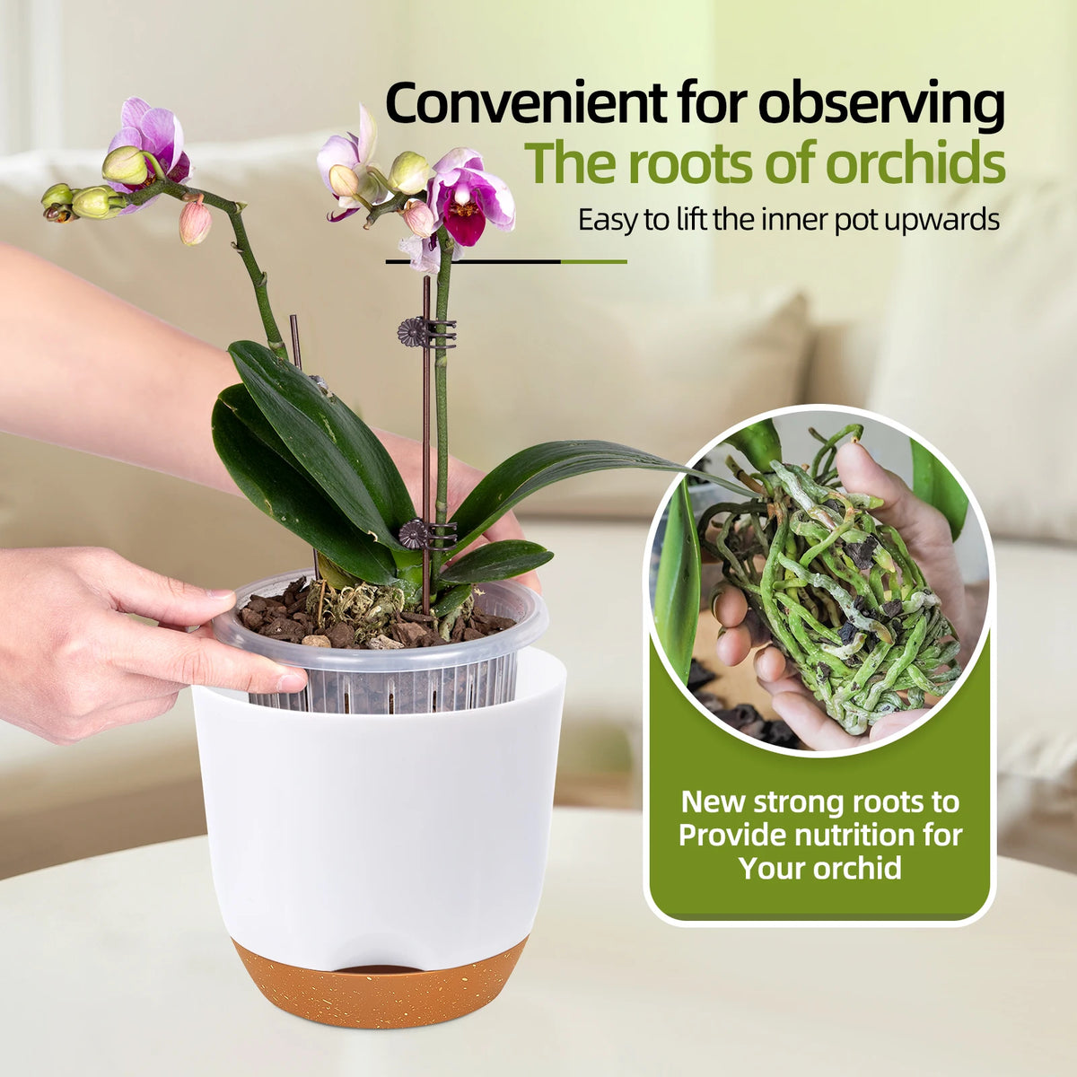 Pots orchidées blancs sur rebord de fenêtre décoration intérieure