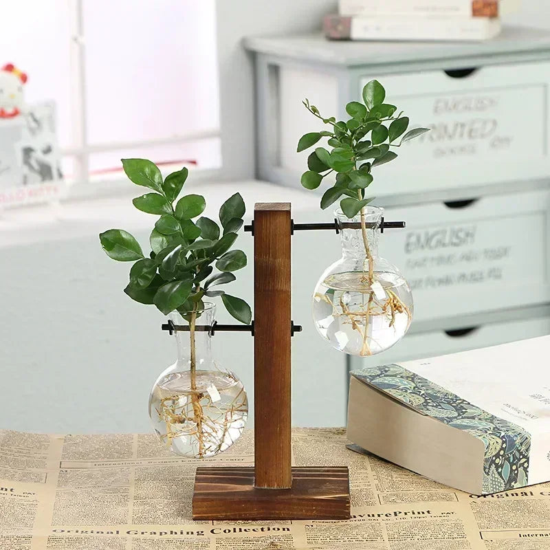 Terrarium hydroponique vintage avec cadre en bois massif et vase en verre transparent