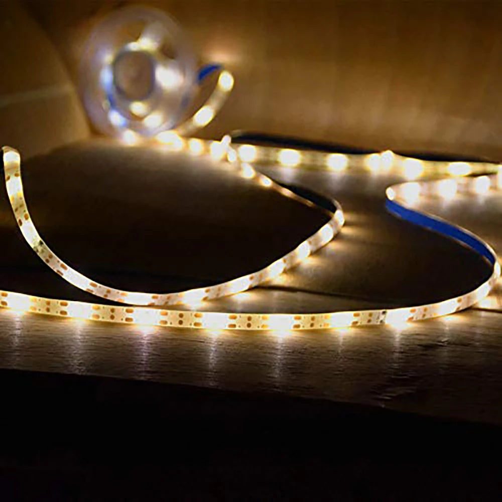 Bande lumineuse solaire décorant une allée de jardin