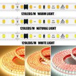 Ruban LED 220V flexible plié en forme décorative