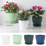Cache-pot blanc moderne avec plateau pour plantes succulentes