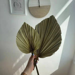 Feuilles de palmier séchées beige pour décoration intérieure