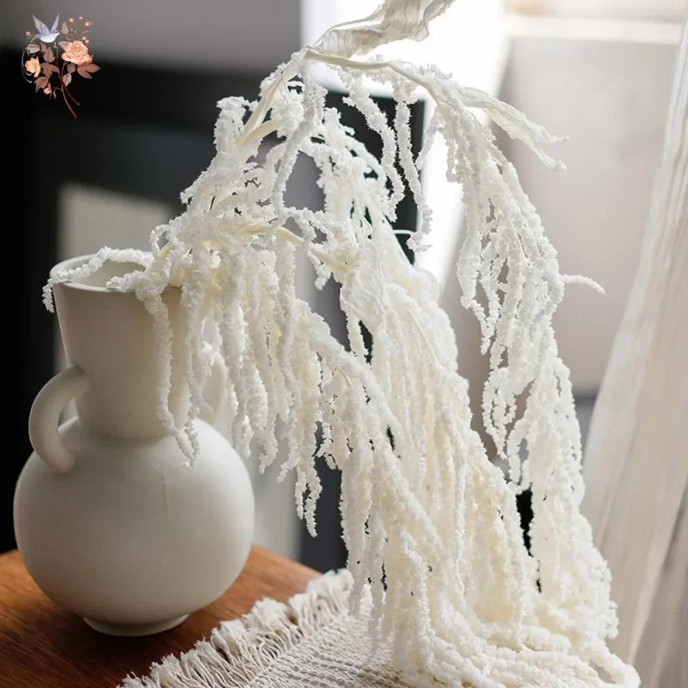 Amaranthus séché suspendu brun composition florale