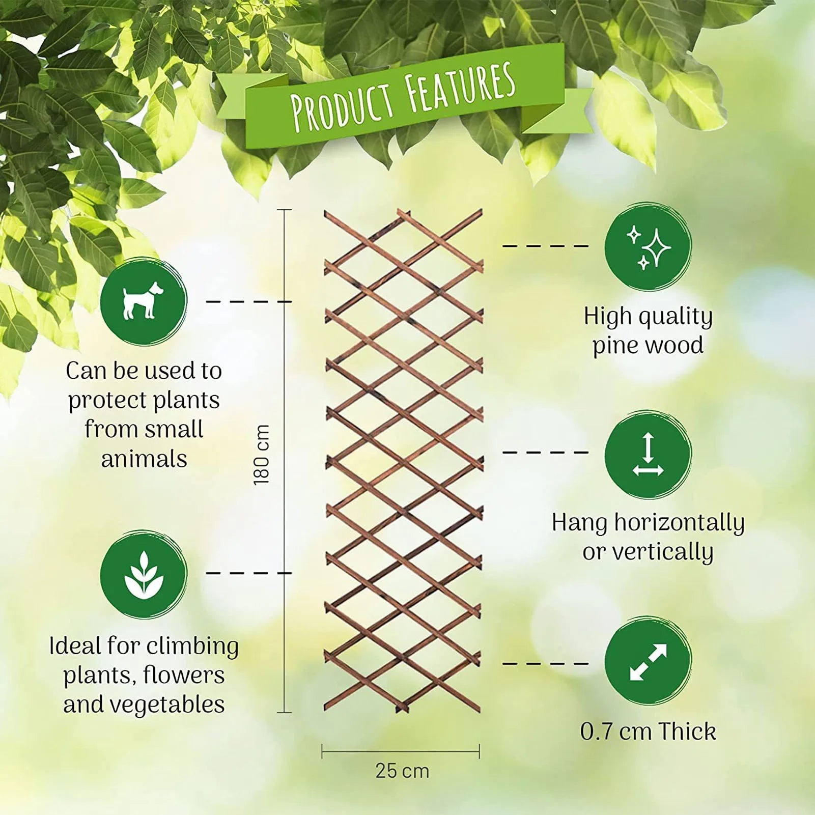 Treillis en bois blanc pour plantes grimpantes