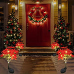 Vue d'ensemble d'un jardin illuminé avec des lumières solaires poinsettia pour Noël