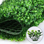 Plante murale en plastique blanc