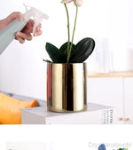 Cache pot céramique glacé avec plante verte en intérieur