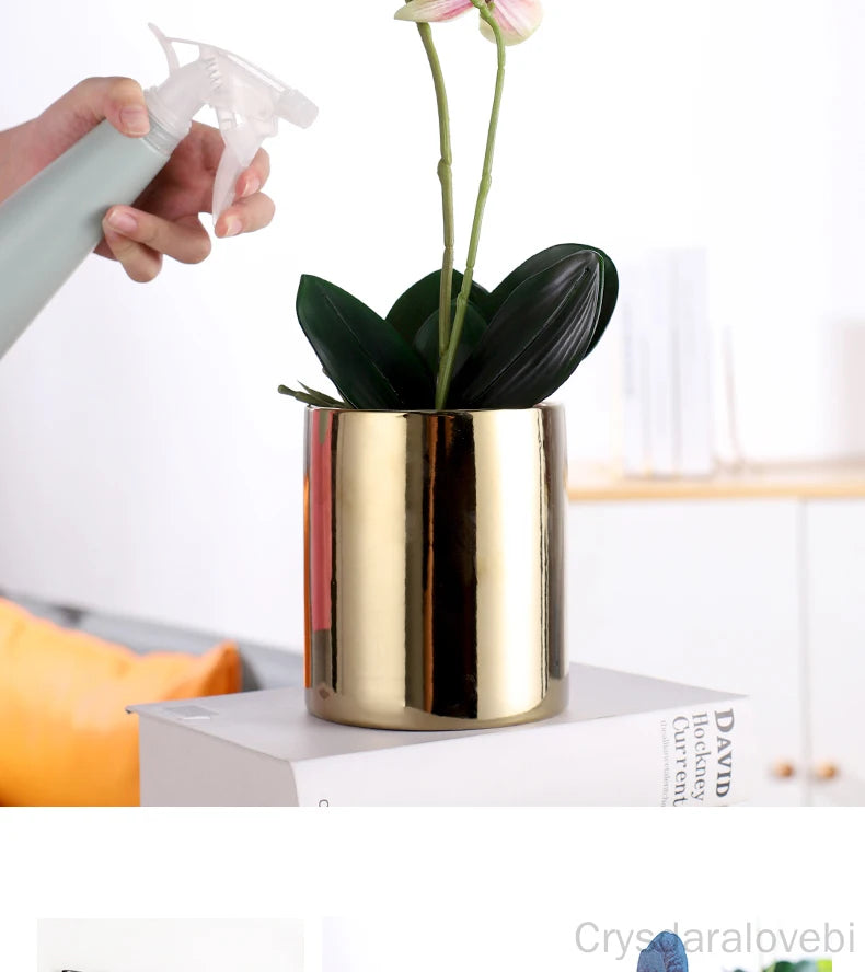 Cache pot céramique glacé avec plante verte en intérieur