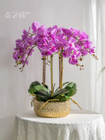 Détail des fleurs d'orchidée papillon artificielle - réalisme haut de gamme