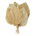 Feuilles de palmier séchées pour décoration intérieure