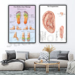 Le texte alternatif pourrait être : "Affiches représentant les zones de réflexologie plantaire et les points d'acupuncture auriculaire, montées au mur d'un salon moderne avec un canapé gris et une table basse en or.