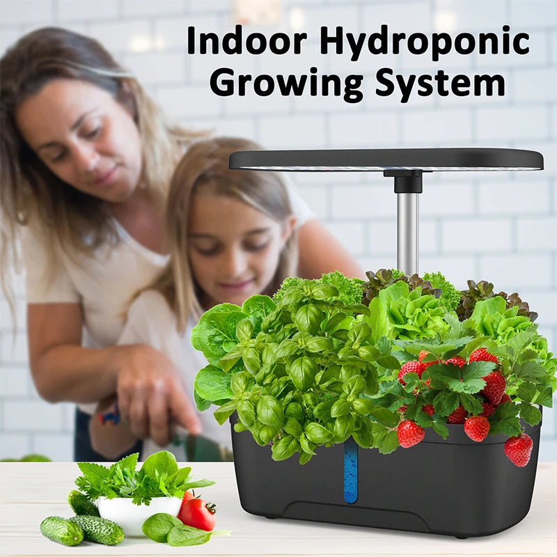 Jardinière hydroponique rouge avec plantes vertes en croissance