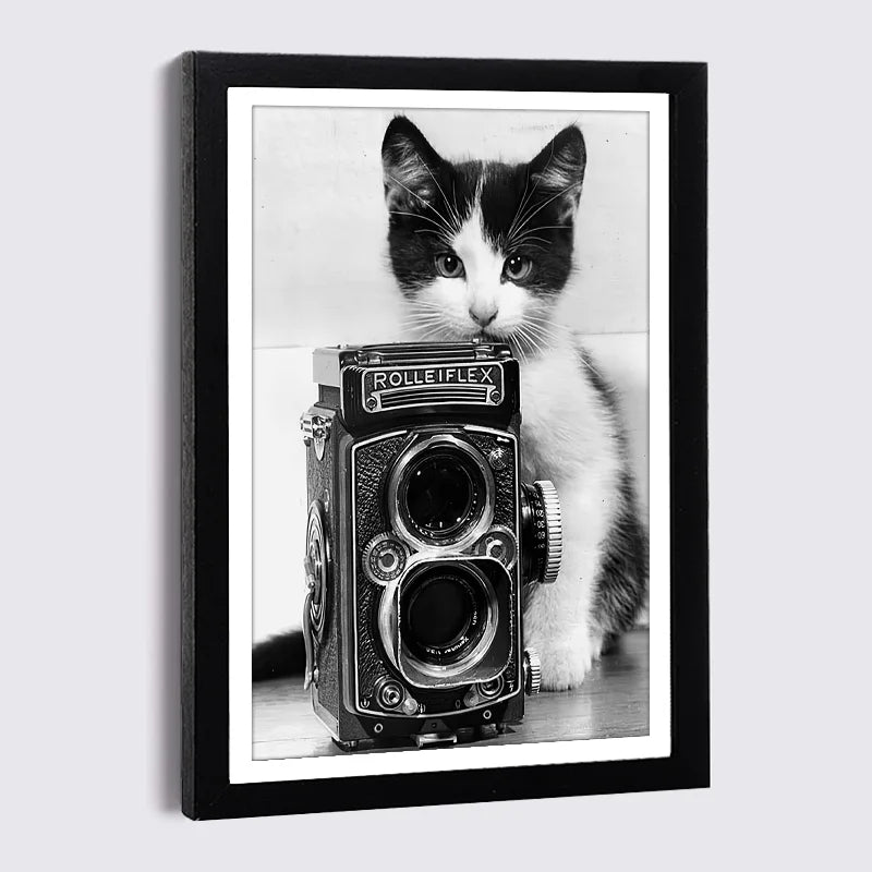 Cadre bois A3 avec photo de chat et lunettes de soleil