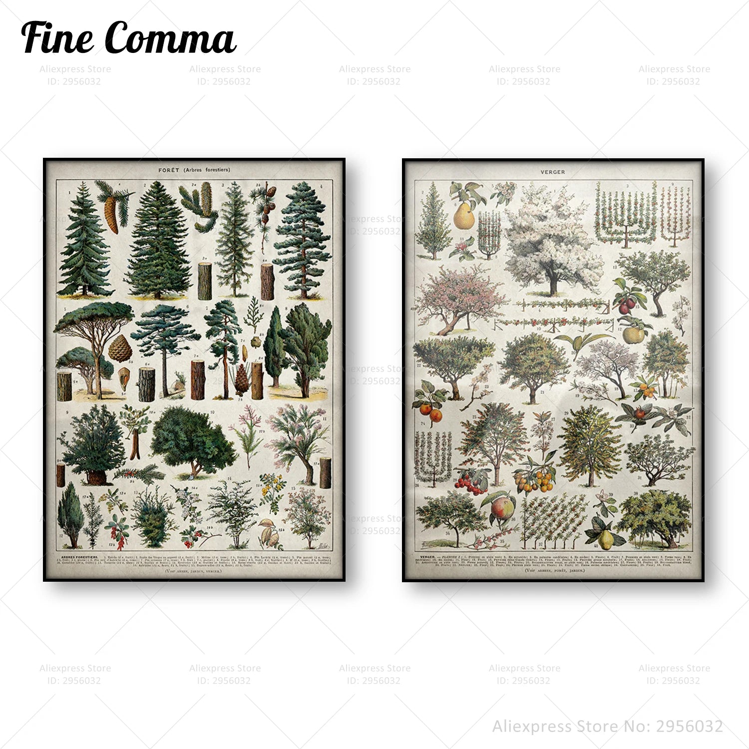 Affiche forêt vintage Larousse impression toile nature décoration murale