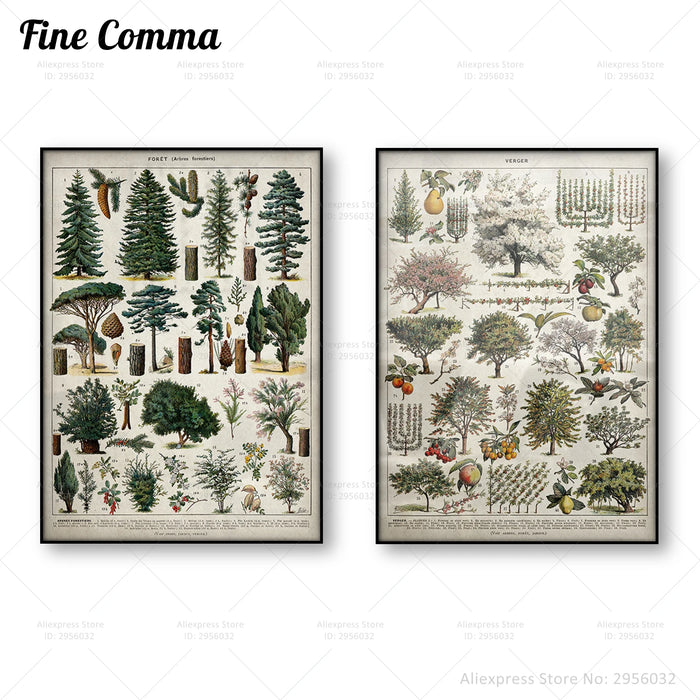 Affiche forêt vintage Larousse impression toile nature décoration murale