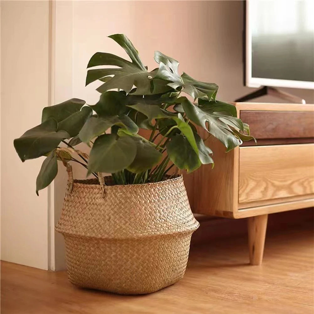 Panier en rotin blanc pour plantes