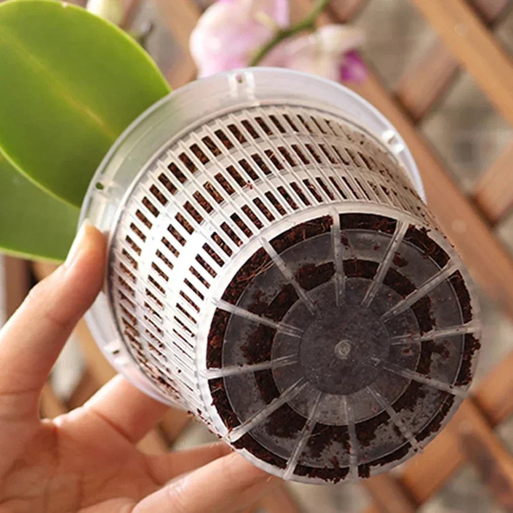 Pot orchidée transparent avec plante en fleurs