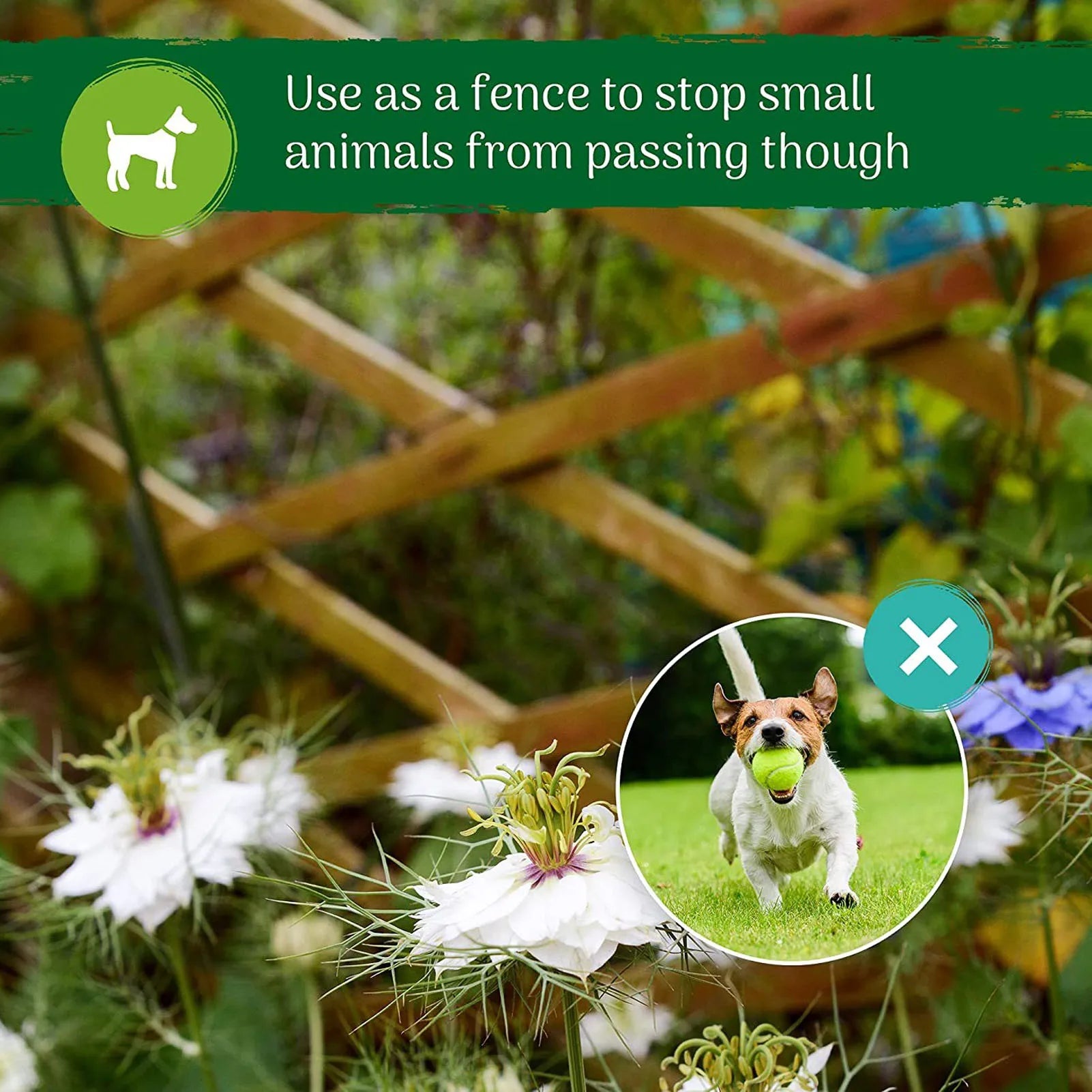 Treillis extensible pour plantes grimpantes vue de face