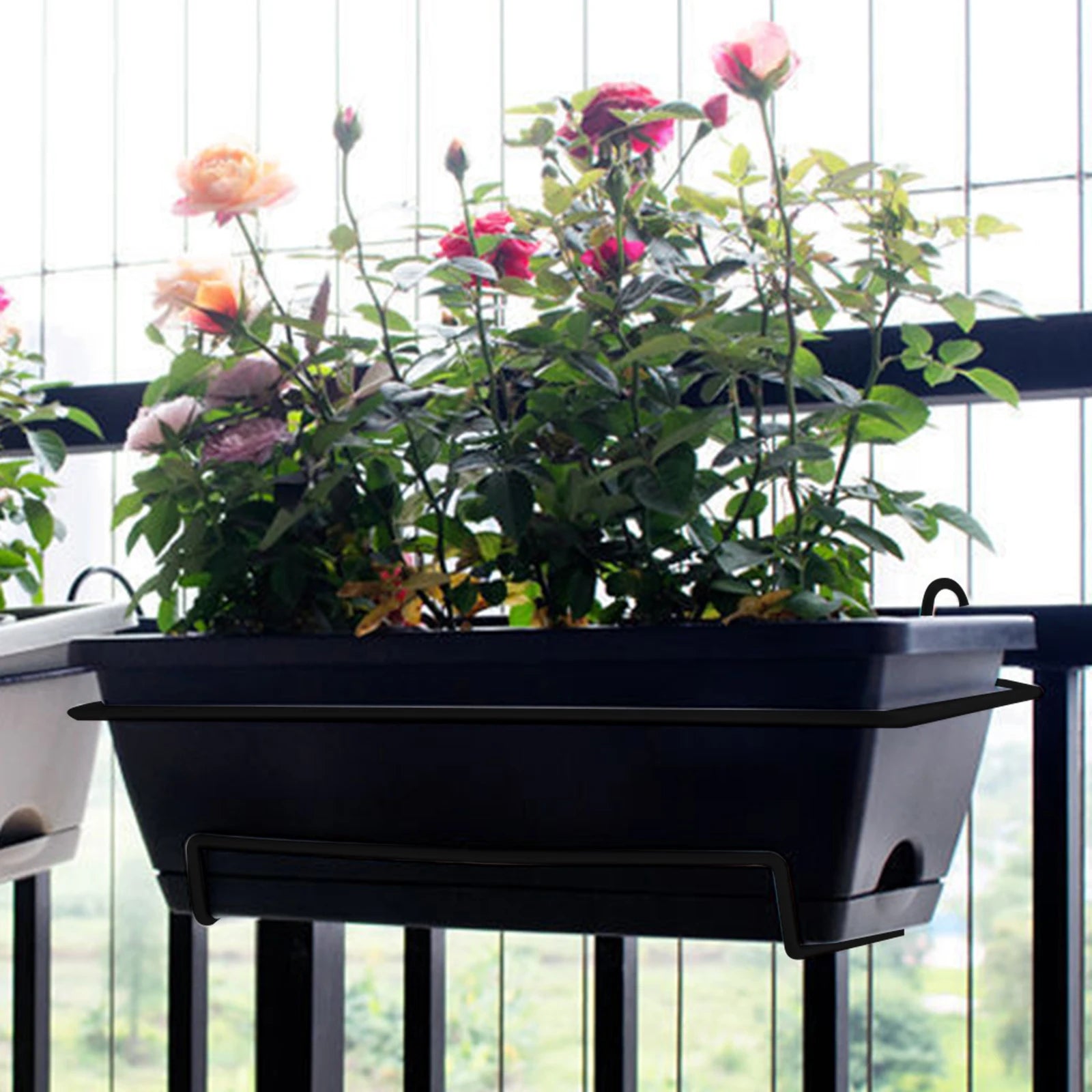 Jardinière suspendue installée sur une fenêtre