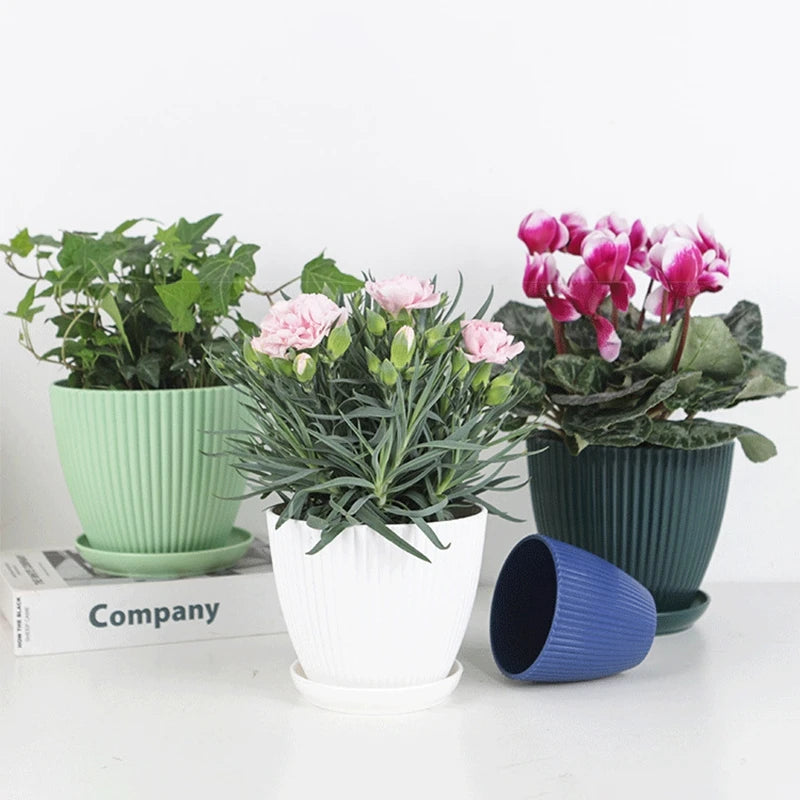 Cache-pot blanc de différentes tailles pour décoration intérieure