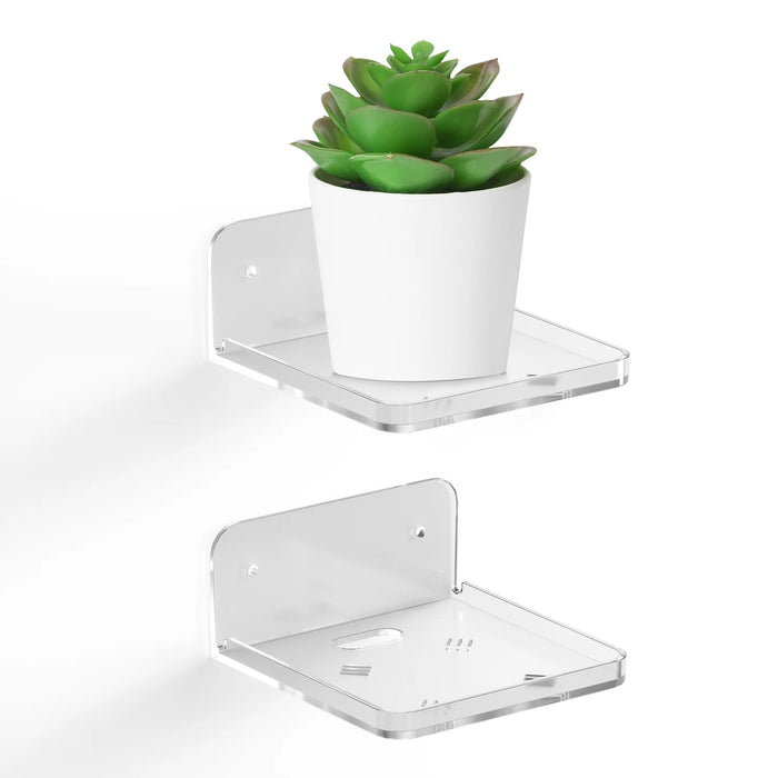 Étagère murale transparente noire avec petite plante succulente dans un salon moderne