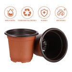 Composition de pots rouges avec différentes plantes en intérieur