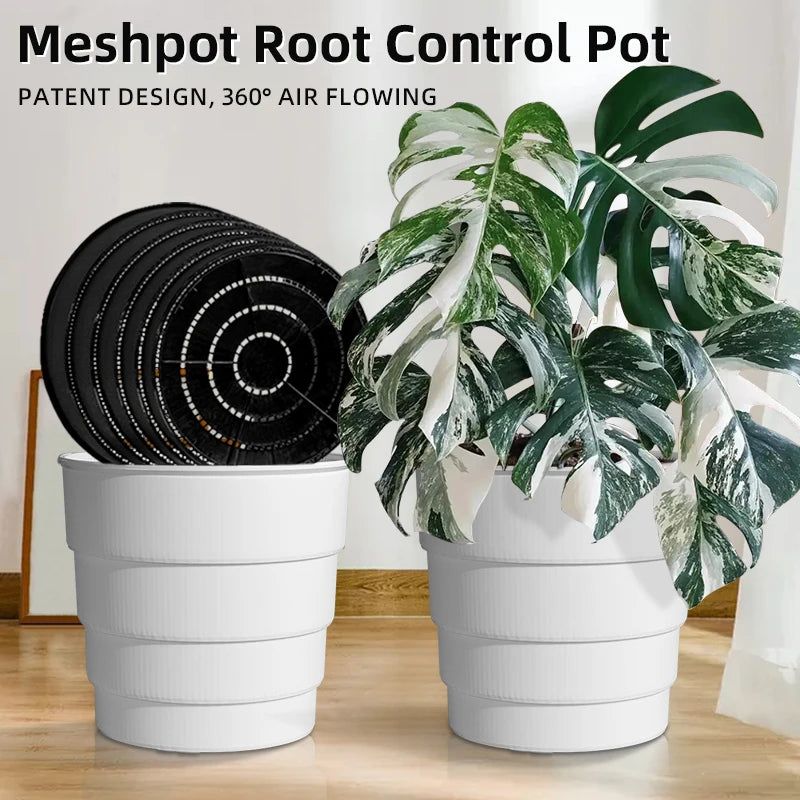 Cache-pot Meshpot 25 cm blanc avec trous d'air pour orchidée