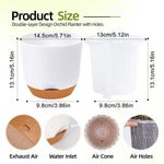 Comparaison taille pots orchidées grand et moyen